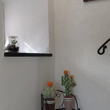 Ca Du Len Gorra - Mtb's Friendly بيت للعطل