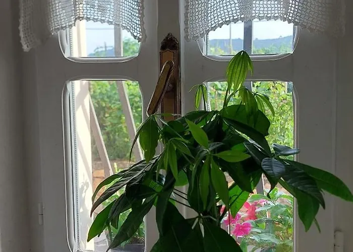 Semesterbostad Ca Du Len Gorra - Mtb's Friendly Finale Ligure